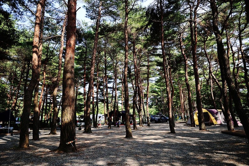 양양 솔바다 캠핑장 시설 사진 9