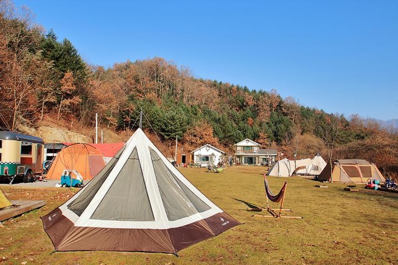 낭만캠프 대표 사진