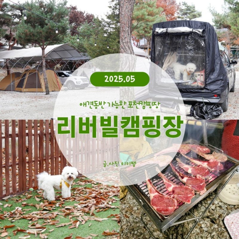 리버빌캠핑장 애견 동반 가능한 포천 캠핑장 추천 (차박가능)