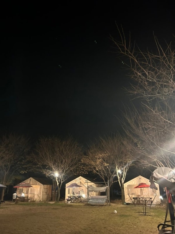 영월 스타글램핑 캠핑 야영장 추천