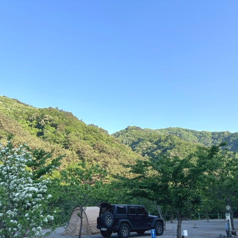 강원도 계곡 캠핑장 추천 양양 골짜구니캠핑장 이용후기 (B존...