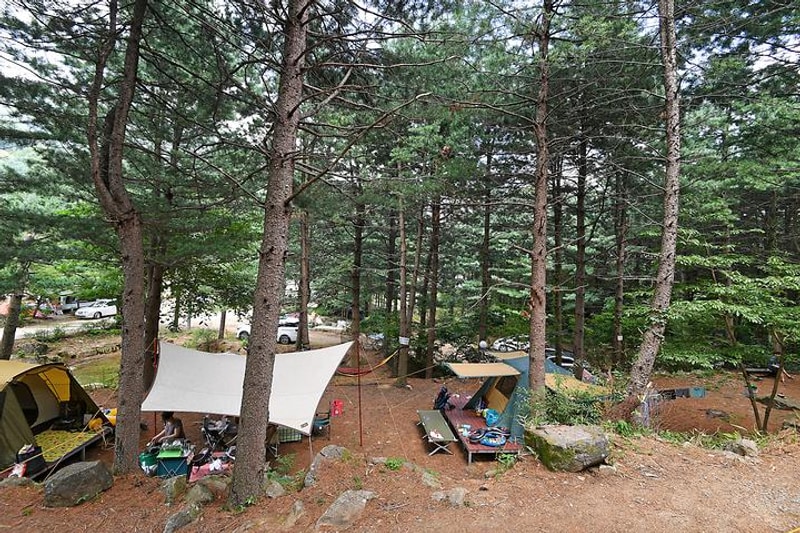 지리산 숲속의 쉼터 대표 사진