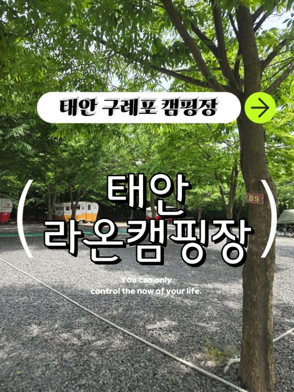 태안 라온 캠핑장(Feat. 구례포해수욕장, 학암포)