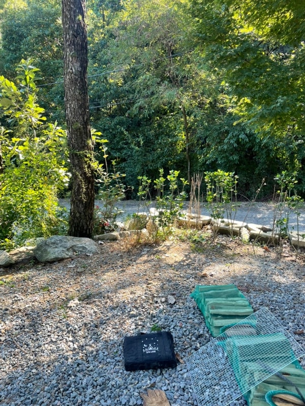 [용인캠핑장] 자연 풍경이... 프라이빗한 사이트 ‘자연숲캠핑장’