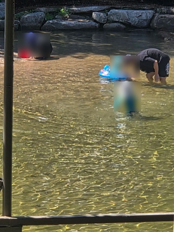 팔공산 평상대여 가능한 군위 솔밭야영장에서 물놀이까지...