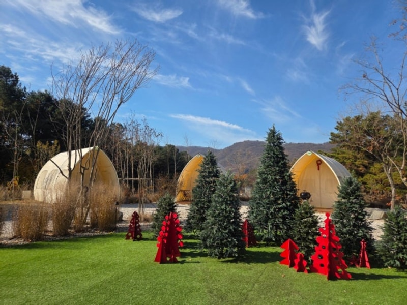 아이랑 가기좋은 경기도 양주 비트윈캠크닉. 부천근교 서울근교