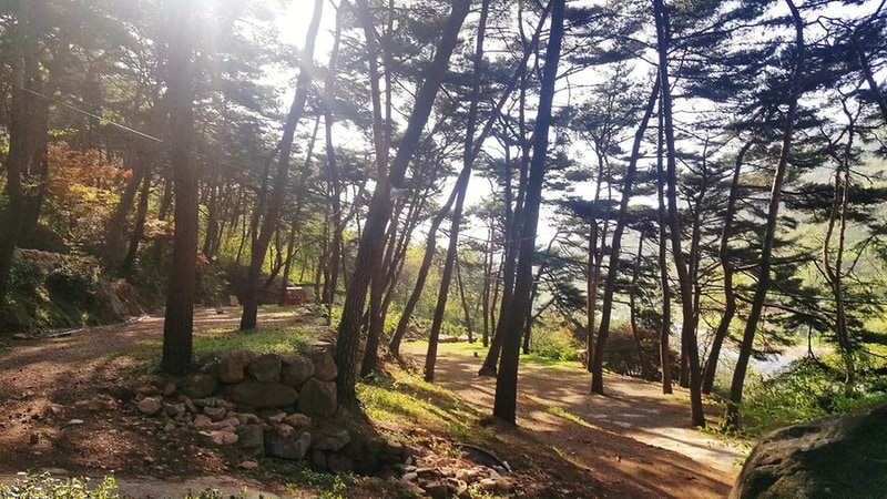 섬지캠핑장 시설 사진 28