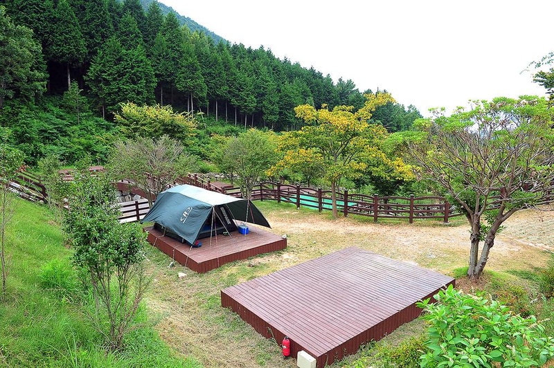 봉황산자연휴양림 야영장 시설 사진 4