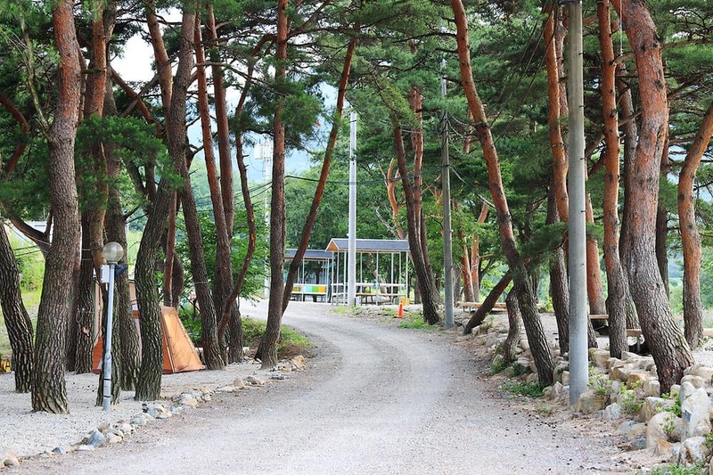 울산 힐링캠프 시설 사진 3