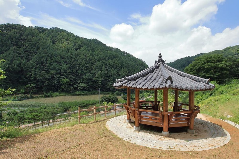 좌구산오토캠핑장 시설 사진 13