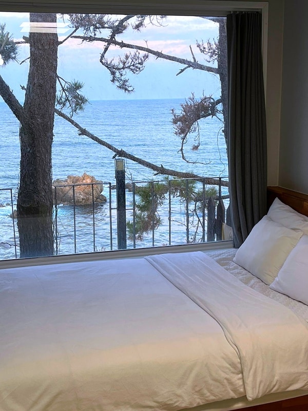 포항 오션뷰 숙소 블루밍카라반 B동 내돈내산 장단점 후기