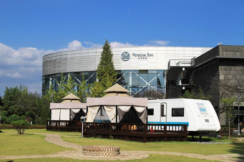 파라다이스 캐빈파크 시설 사진 2