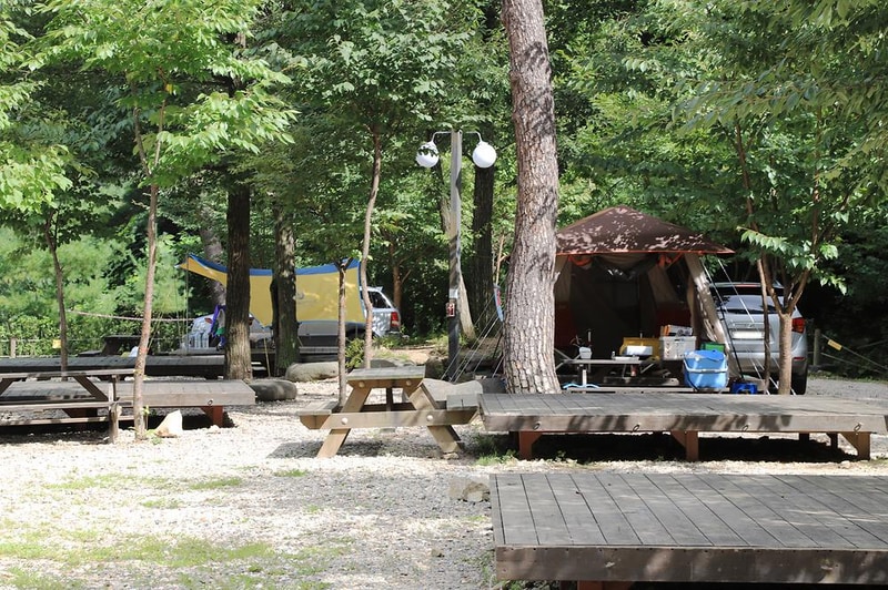 국립검봉산자연휴양림야영장 시설 사진 1