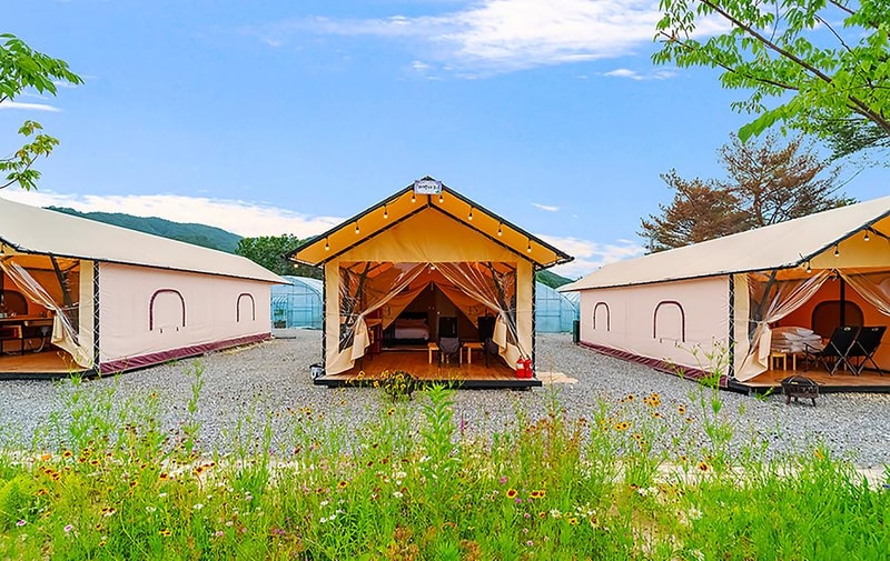 (주)더그린포천 농업회사법인(민트글램핑) 시설 사진 1