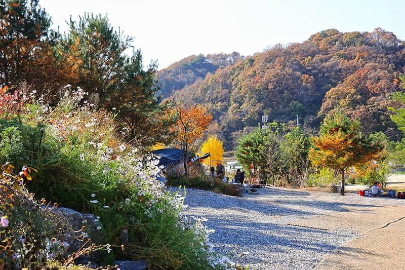 라곰 대표 사진