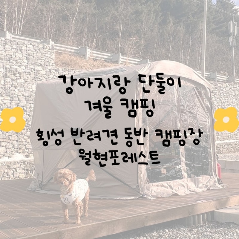 단둘이 깔끔한 시설의 캠핑장에서 동계 캠핑 ; 횡성 월현 포레스트