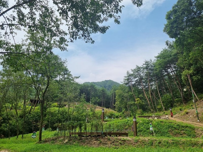 국립김천숲속야영장 시설 사진 11