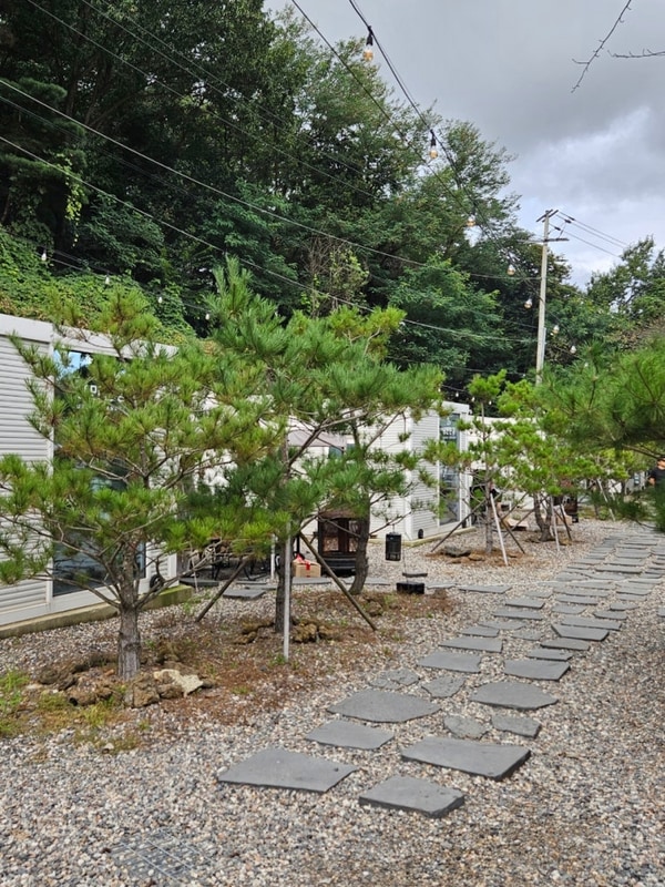 서울 근교 김포한강 오토캠핑장 12월 카라반 내돈내산 후기 2탄