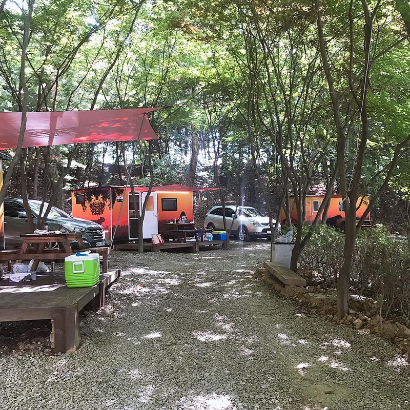 아프리카예술박물관 캠핑장 시설 사진 44