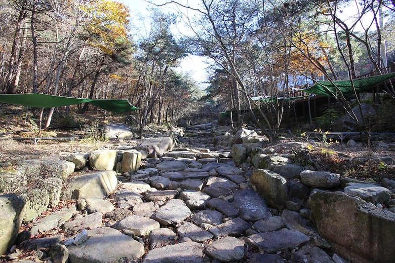 청계동 솔바람야영장 시설 사진 38