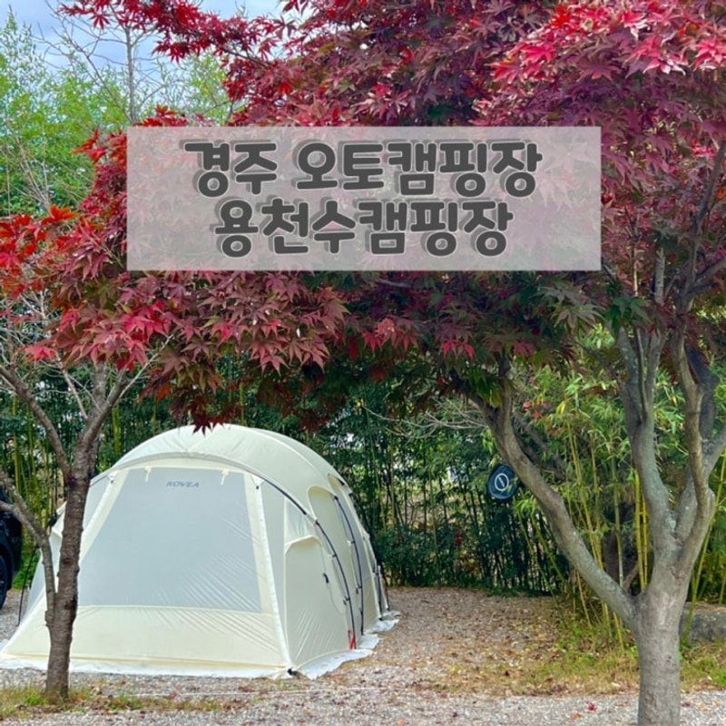 경북 경주 단풍 오토캠핑장 후기 명당 추천 ‘용천수캠핑장 A8’