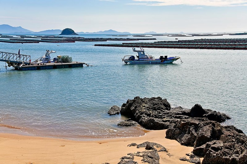땅끝바다낚시터&글램핑 시설 사진 7