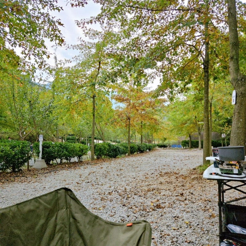 8번째, 정읍 자두마을 캠핑장 후기