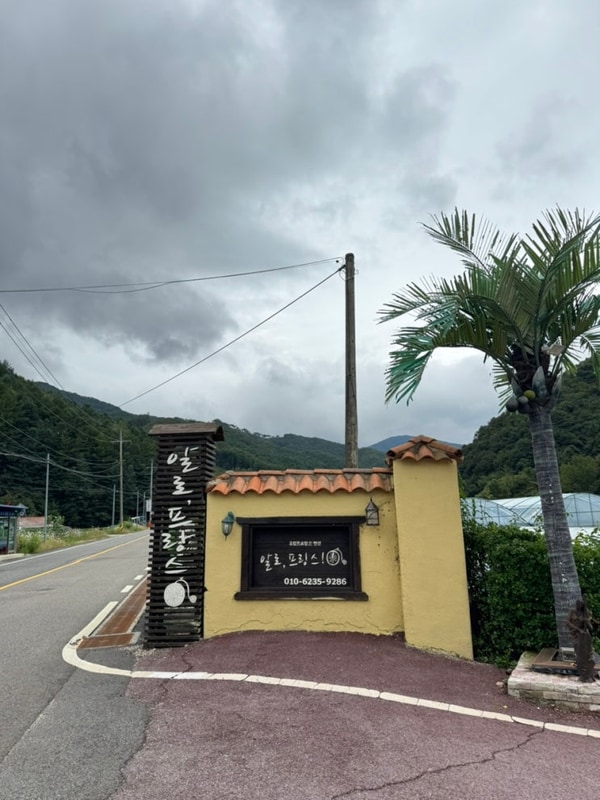 무주 카라반펜션 추천 알로프랑스펜션 내돈내산리뷰