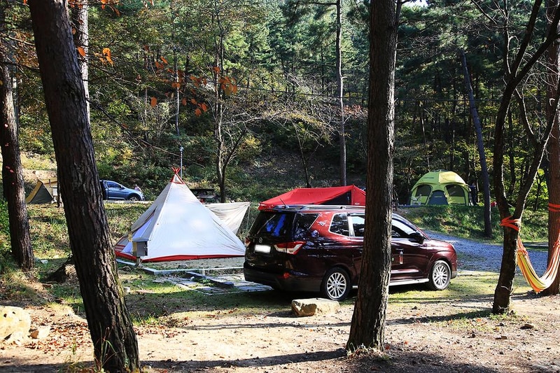 희리산해송자연휴양림 자동차야영장 시설 사진 13
