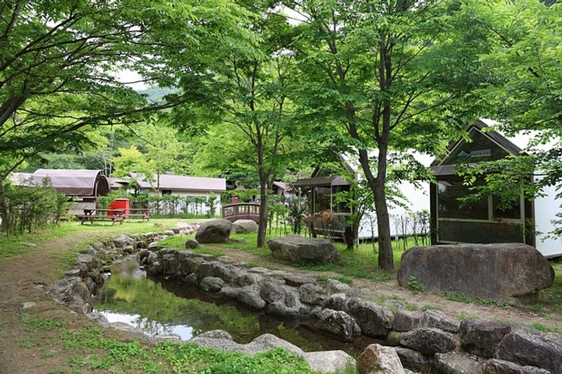 6월 추천 캠핑 여행지 - 경북 영주 소백산 삼가야영장