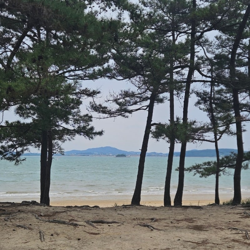 [전남/무안] 광주근교 취사 가능 노지 캠핑장 홀통유원지