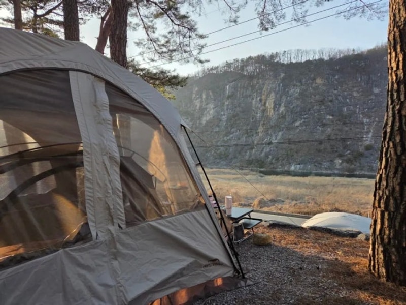 [강원도 영월] 한반도캠핑장- 뷰맛집 애견동반 캠핑장...