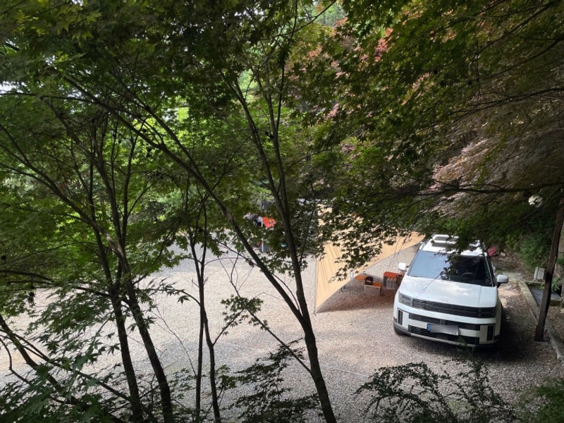 215 어쩌다 오지 같은 남양주 휴림캠핑장