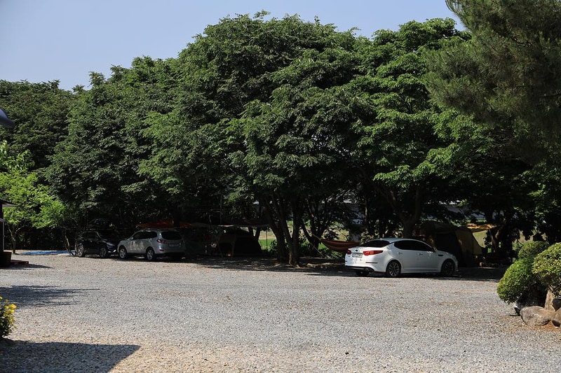 동양원목캠핑장 시설 사진 10