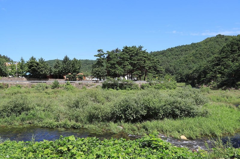 내평계곡캠핑장 시설 사진 18