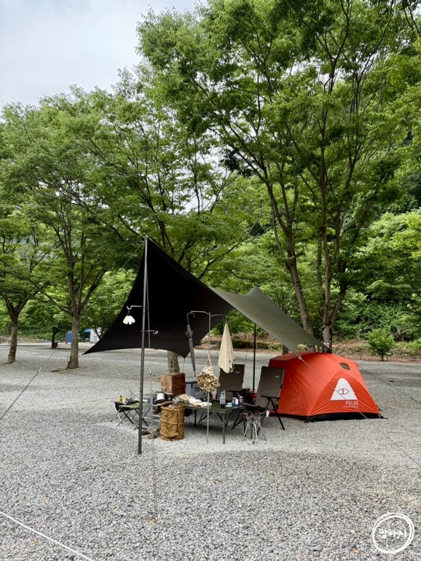 강원도 영월 내리계곡솔밭캠핑장 매년 가는 계곡 맛집 사이트...