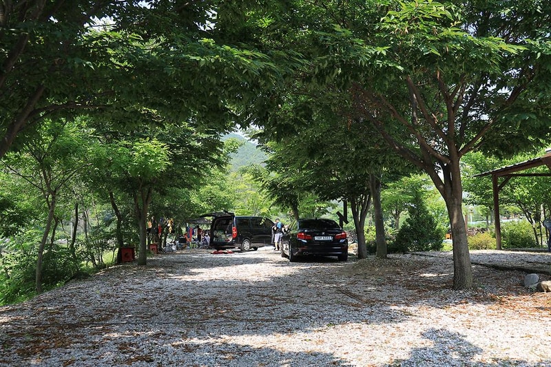 외룡송어회 캠핑장 시설 사진 13