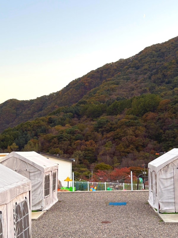 초보도 OK! 가평카라반 캠핑 가화2372 A to Z