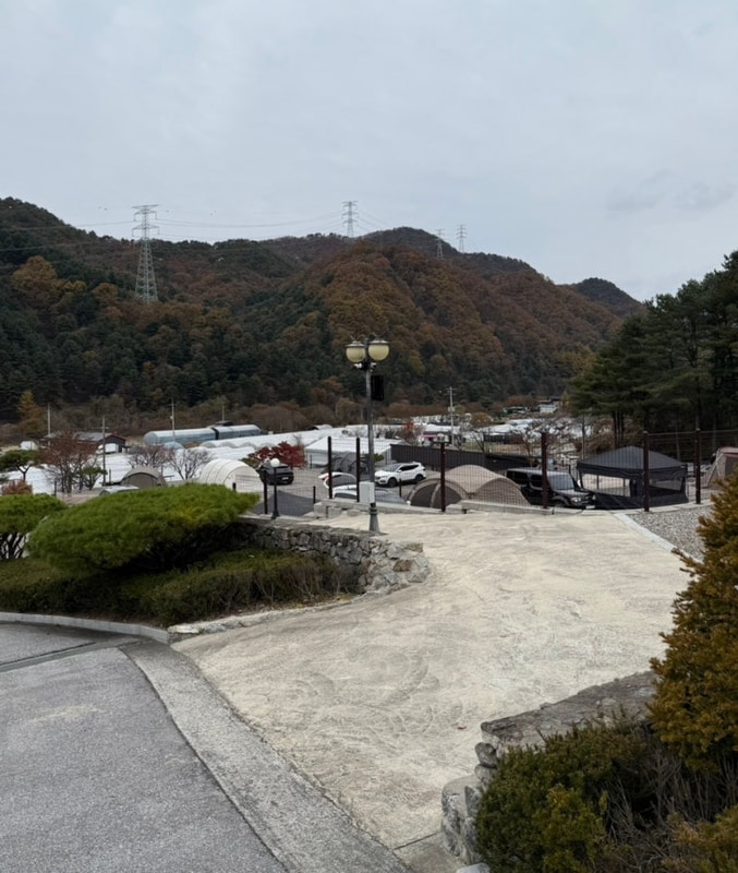 [경기도 가평] 노키즈존 애견 동반 가능 포레스트 소울 캠핑...