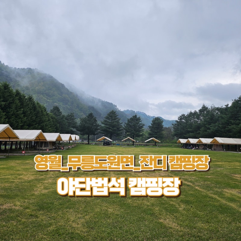 그래도 잔디는 좋았던 _ 영월 야단법석 캠핑장 A4...