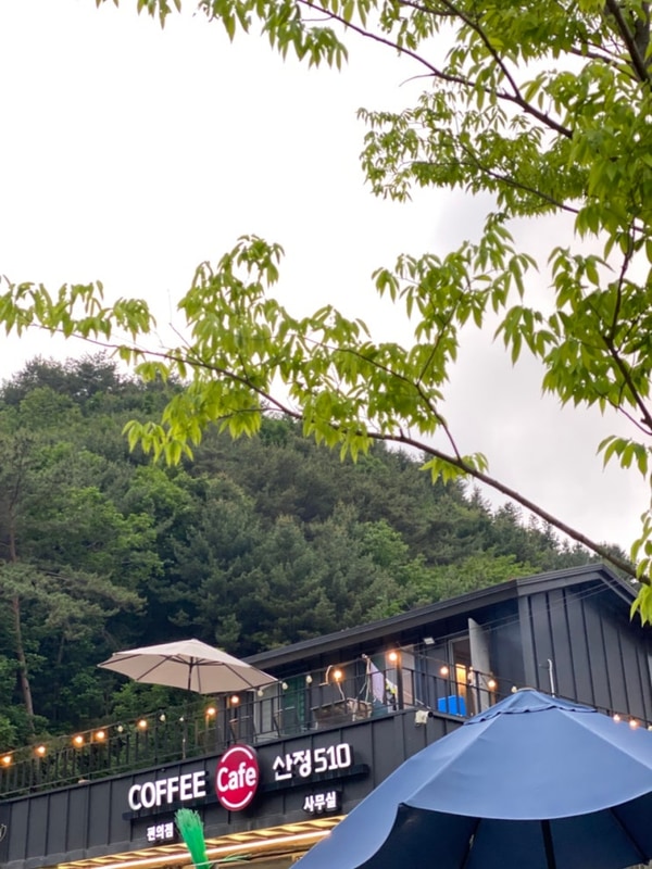 계곡이 1분컷 포천 산정호수 돌고래 캠핑장 옥상 돌고래 하우스