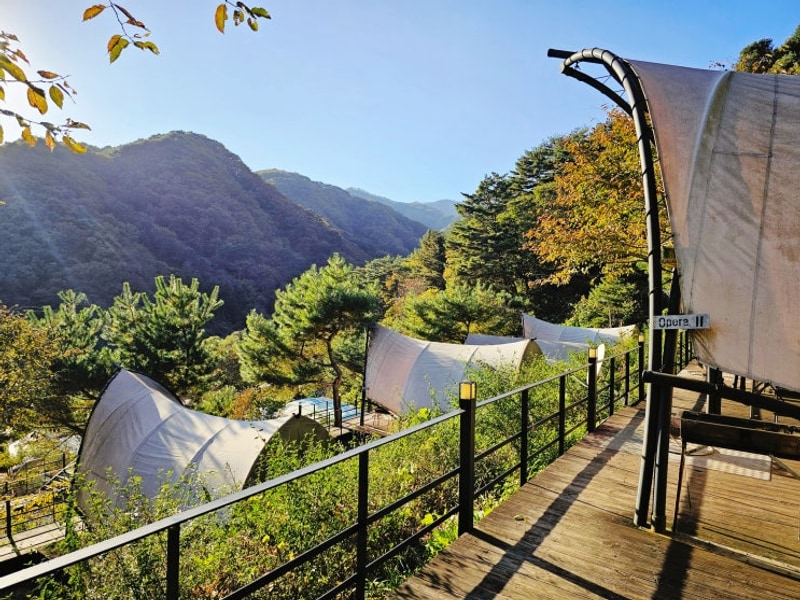 매 년 방문하는 가평글램핑 - 가평명지산카라반글램핑...