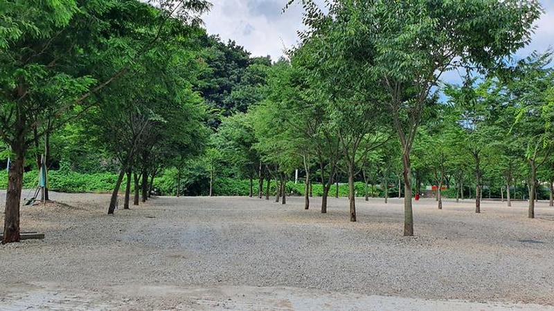 금산 자연 오토캠핑장 대표 사진