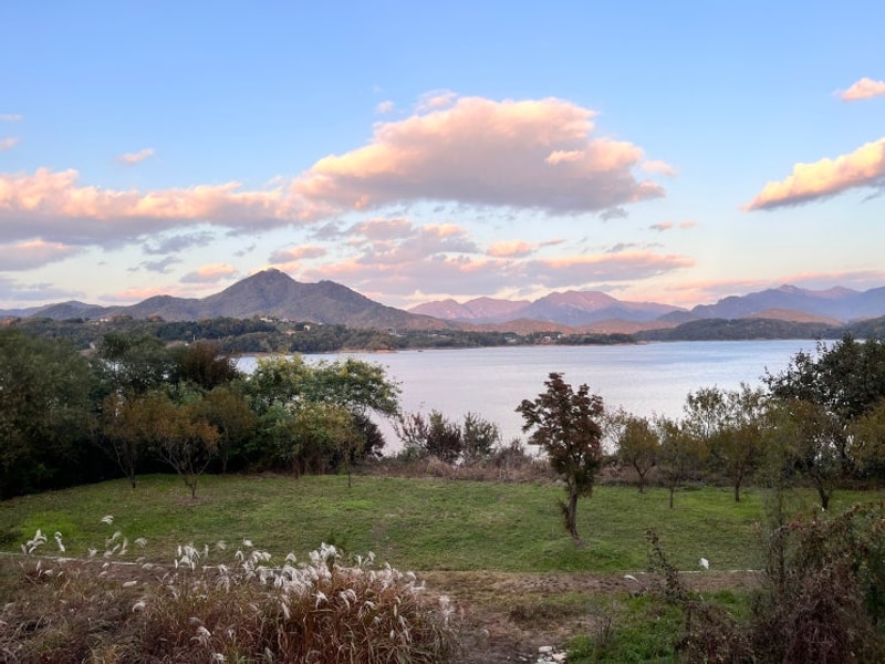 제천 청풍호반 오토캠핑장 S구역 S1번 사이트 내돈내산...