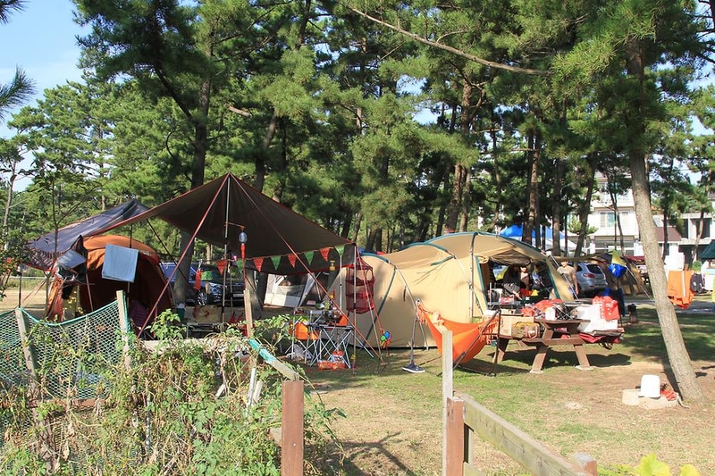 청포대숲속야영장 시설 사진 3