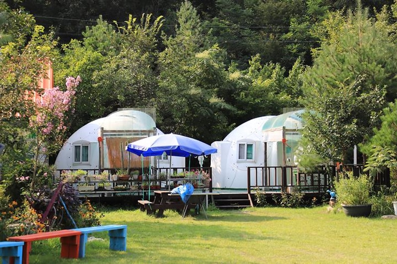 꽃내라팜 대표 사진