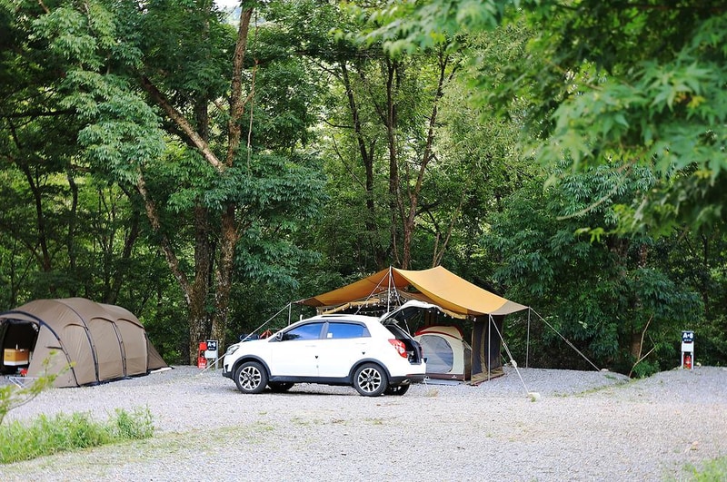 오아시스정글 시설 사진 2