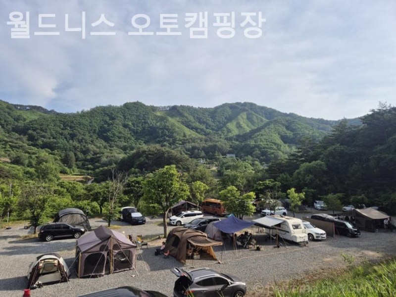 강원도영월캠핑장 월드니스 오토캠핑장 감성캠핑좋은곳