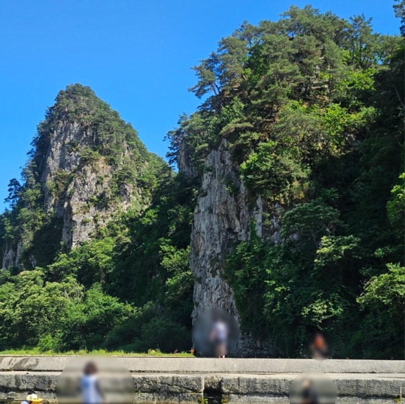내돈내산 원주 칠봉유원지... 계곡 애견동반 캠핑 칠봉송정캠핑장