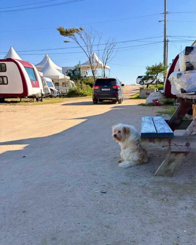 [인천 캠핑장] 왕산가족오토캠핑장